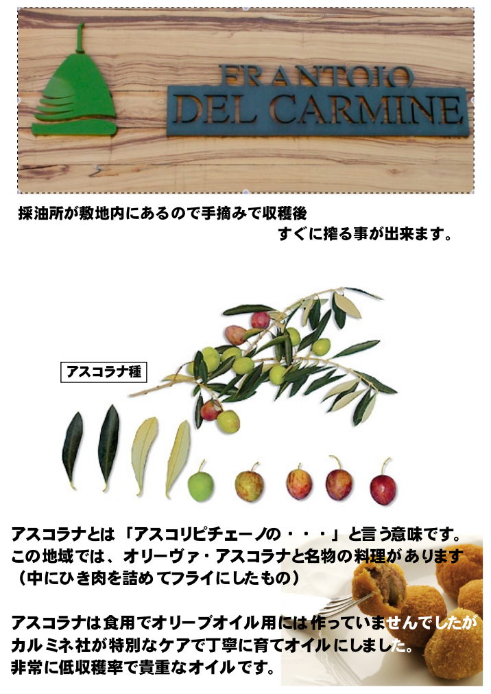 オリーブオイル エキストラバージン アスコラナ 500ml Ascolana カルミネ農園 Del Carmine 世界一のコンテストSOLで2年連続で優勝